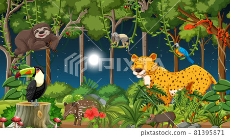 Forest at night scene with different wild animals 81395871