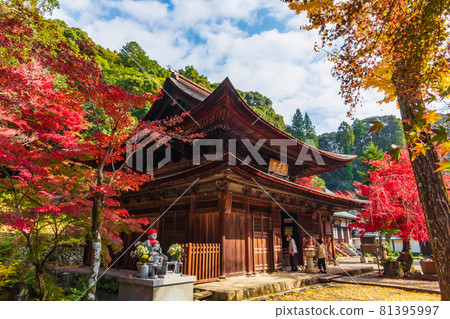 秋天的定光寺 <愛知縣瀨戶市> 秋天的定光寺 <愛知縣瀨戶市> 81395997