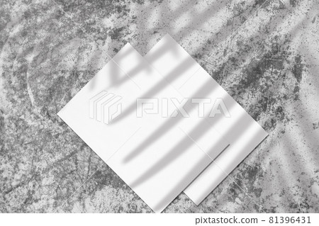 Two empty white rectangle poster diagonal mockups with palm shadow Two empty white rectangle poster diagonal mockups with palm shadow 81396431