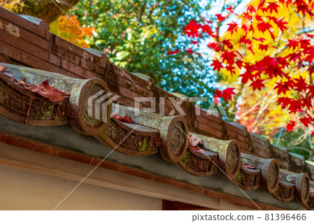 秋天的定光寺 <愛知縣瀨戶市> 秋天的定光寺 <愛知縣瀨戶市> 81396466