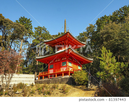 [Kyoto] Imakumano Kannonji Temple 81397443