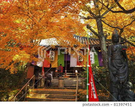 [Kyoto] Autumn leaves at Imakumano Kannonji Temple 81397451