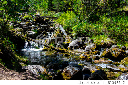 Stormy mountain river in the Altai Republic. Stormy mountain river in the Altai Republic. 81397542