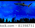 水族館 81398731
