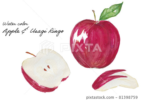 Red apple with watercolor illustration Red apple with watercolor illustration 81398759