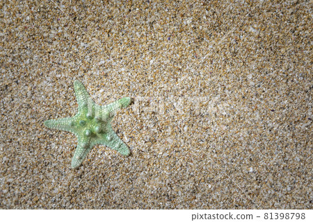 Beautiful starfish on beach sand, top view. 81398798