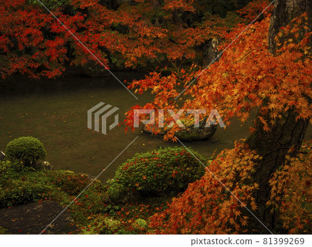 [京都] enge寺的秋葉 81399269