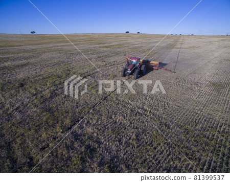 Direct seeding, agricultural machinery, in La Pampa, patagonia, Argentina 81399537