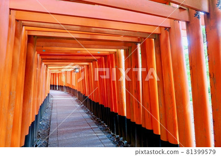 伏見稻荷的千本稻荷 81399579