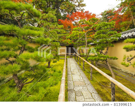 [Kyoto] Autumn leaves of Daitokuji Kotoin 81399615