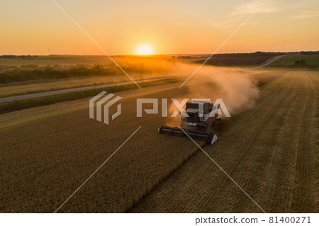 Combine harvester. Aerial view  81400271