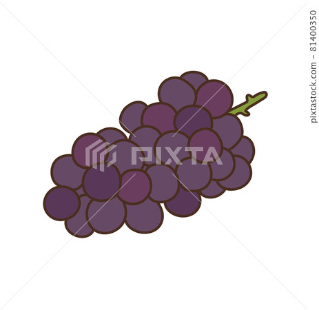 Grape produce fruit fruit illustration Grape produce fruit fruit illustration 81400350