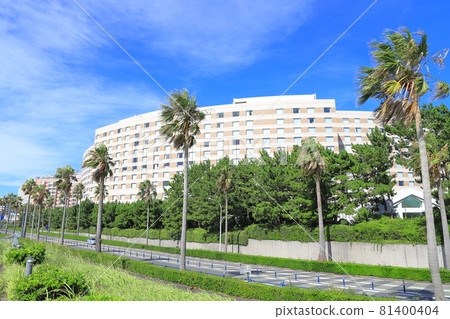 Scenery with palm trees Maihama, Urayasu City, Chiba Prefecture 81400404