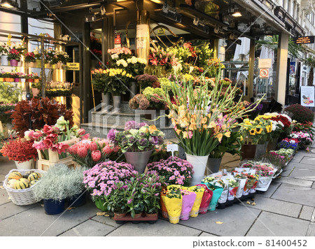 納什市場的花店,奧地利維也納最大的市場 納什市場的花店,奧地利維也納最大的市場 81400452