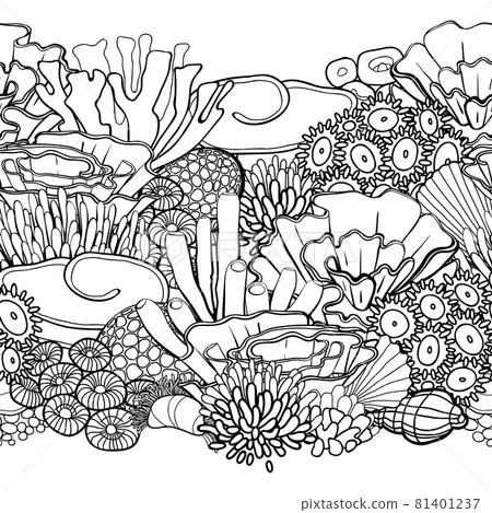 Graphic sea weeds, corals and ocean plants Graphic sea weeds, corals and ocean plants 81401237