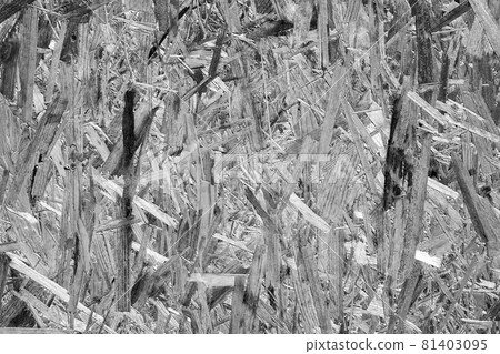 Oriented strand board OSB. Sterling board 81403095