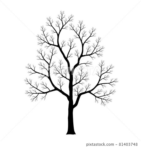 Silhouette of dead tree isolated on white background. Black and white. vector illustration. 81403748