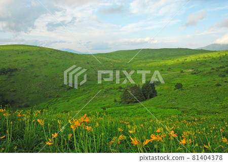 長野縣的Nikko Kisuge Kagamine Peak Plateau 81404378