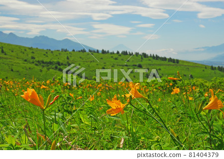 長野縣的Nikko Kisuge Kagamine Peak Plateau 81404379