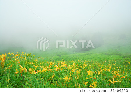 長野縣的Nikko Kisuge Kagamine Peak Plateau 81404390