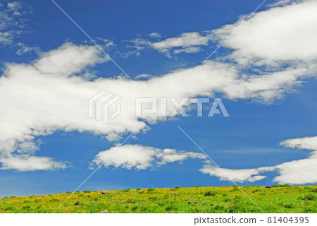 Nikko Kisuge Kagamine Peak Plateau in Nagano Prefecture Nikko Kisuge Kagamine Peak Plateau in Nagano Prefecture 81404395