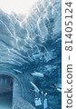 Fly in the water 81405124