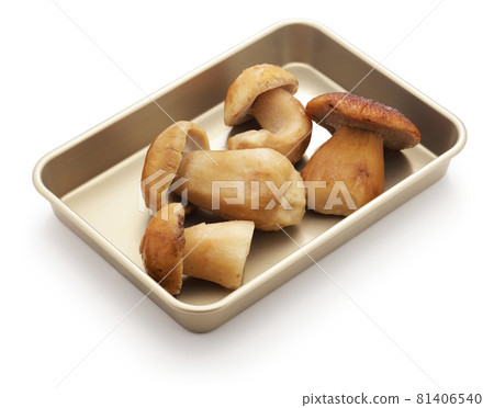 Frozen porcini 81406540