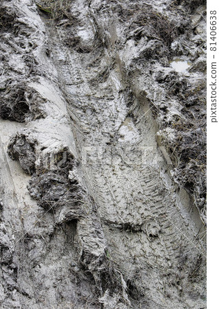 The imprint of a tire in thick clay 81406638