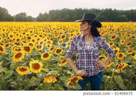 Young woman agronomist wearing cowboy hat, plaid shirt and jeans on sunflower field. Rich harvest concept. Young woman agronomist wearing cowboy hat, plaid shirt and jeans on sunflower field. Rich harvest concept. 81406675