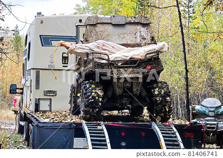 An off road vehicle loaded with moose quarters 81406741
