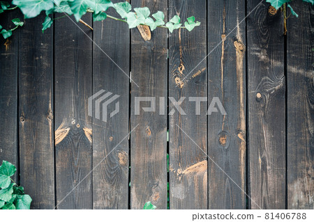 Real natural wood texture. Timber plank surface wall for vintage grunge wallpaper. Old floor wooden pattern with green leaves. Dark grain panel board table with copy space. Abstract natural desk. Real natural wood texture. Timber plank surface wall for vintage grunge wallpaper. Old floor wooden pattern with green leaves. Dark grain panel board table with copy space. Abstract natural desk. 81406788
