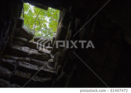 Cambodia Ruins Ta Prohm Cambodia Ruins Ta Prohm 81407472
