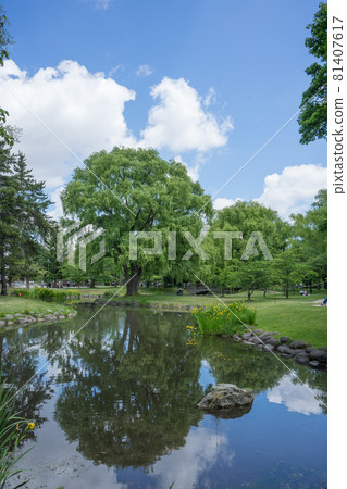 中島公園的池塘 81407617