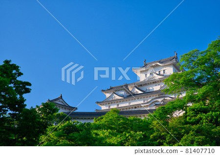 [Hyogo Prefecture] May, fresh green Himeji Castle 81407710