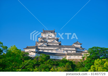 [Hyogo Prefecture] May, fresh green Himeji Castle 81407729