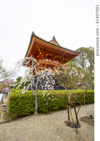 Bell tower of Ninna-ji Temple, the head temple of spring Bell tower of Ninna-ji Temple, the head temple of spring 81407881