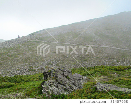 Road to the summit of Tomuraushi in early summer in Hokkaido Road to the summit of Tomuraushi in early summer in Hokkaido 81407968