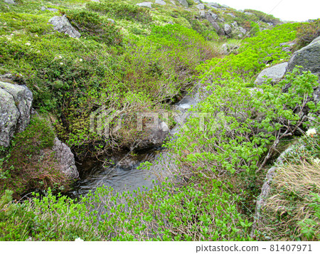 Road to the summit of Tomuraushi in early summer in Hokkaido Road to the summit of Tomuraushi in early summer in Hokkaido 81407971