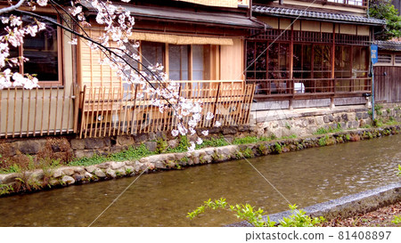 京都祗園櫻花在白川鄉 81408897