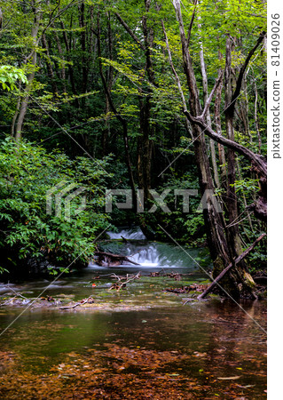 Nakashimadai Recreation Forest 81409026