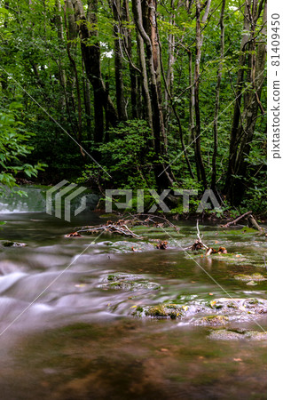 Nakashimadai Recreation Forest Nakashimadai Recreation Forest 81409450