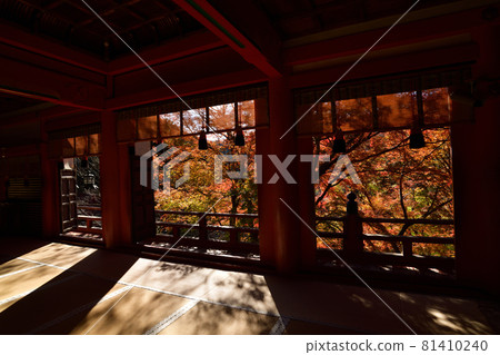 Shishiyama寺廟秋葉 Shishiyama寺廟秋葉 81410240
