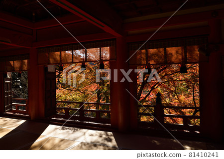 Shishiyama寺廟秋葉 81410241