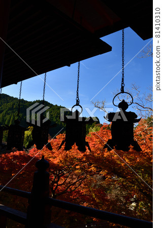 Shishiyama寺廟秋葉 81410310