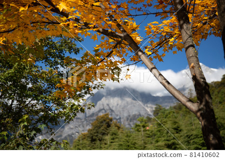 Blue Moon valley lijiang China in october 81410602