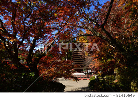 Shishiyama寺廟秋葉 81410649