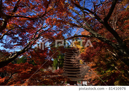 Shishiyama寺廟秋葉 Shishiyama寺廟秋葉 81410976