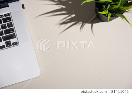 Light office desk table with laptop and green grass. Top view with copy space, flat lay. Light office desk table with laptop and green grass. Top view with copy space, flat lay. 81411041