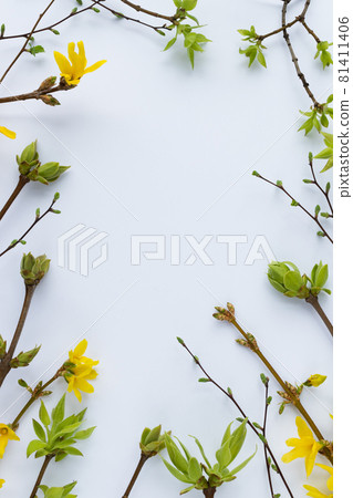 Spring frame from twigs with first leaves and flowers. Spring frame from twigs with first leaves and flowers. 81411406