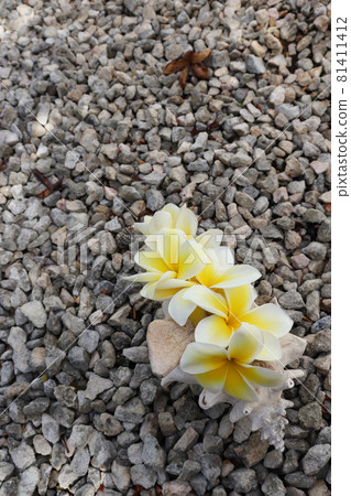 Bouquet of tropical flowers in big seashell on gravel background. Bouquet of tropical flowers in big seashell on gravel background. 81411412